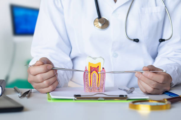 Best Walk-In Emergency Dentist in Winner, SD